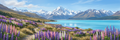 Aoraki mural
