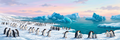 Penguin Bay antarctic mural