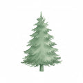 Pine P