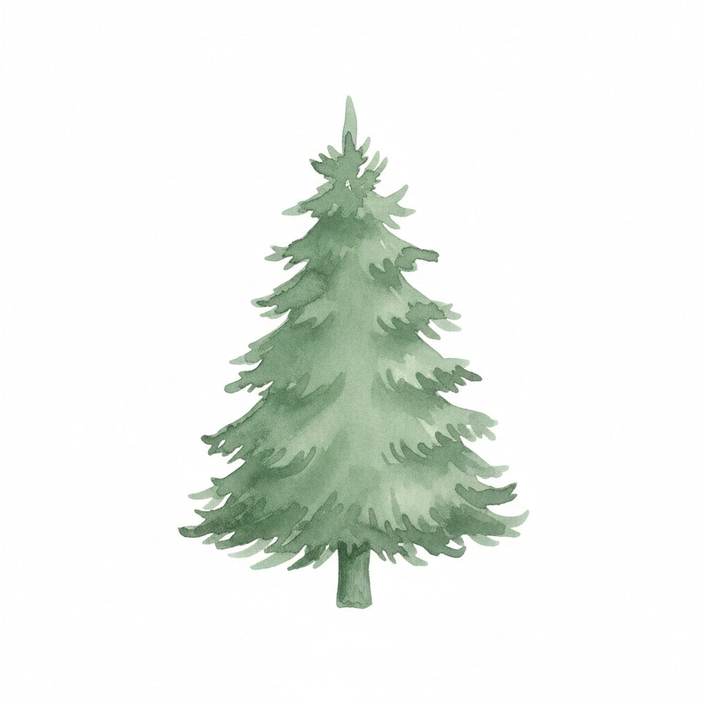 Pine P