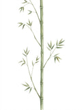 Bamboo Hollow Bamboo Stalk Wall Sticker — hand-painted watercolour bamboo stalk, 804mm wide × 1800mm tall