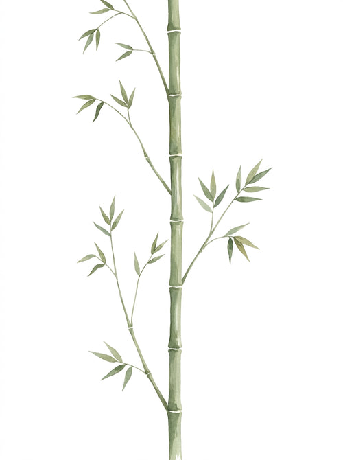 Bamboo Hollow Bamboo Stalk Wall Sticker — hand-painted watercolour bamboo stalk, 804mm wide × 1800mm tall