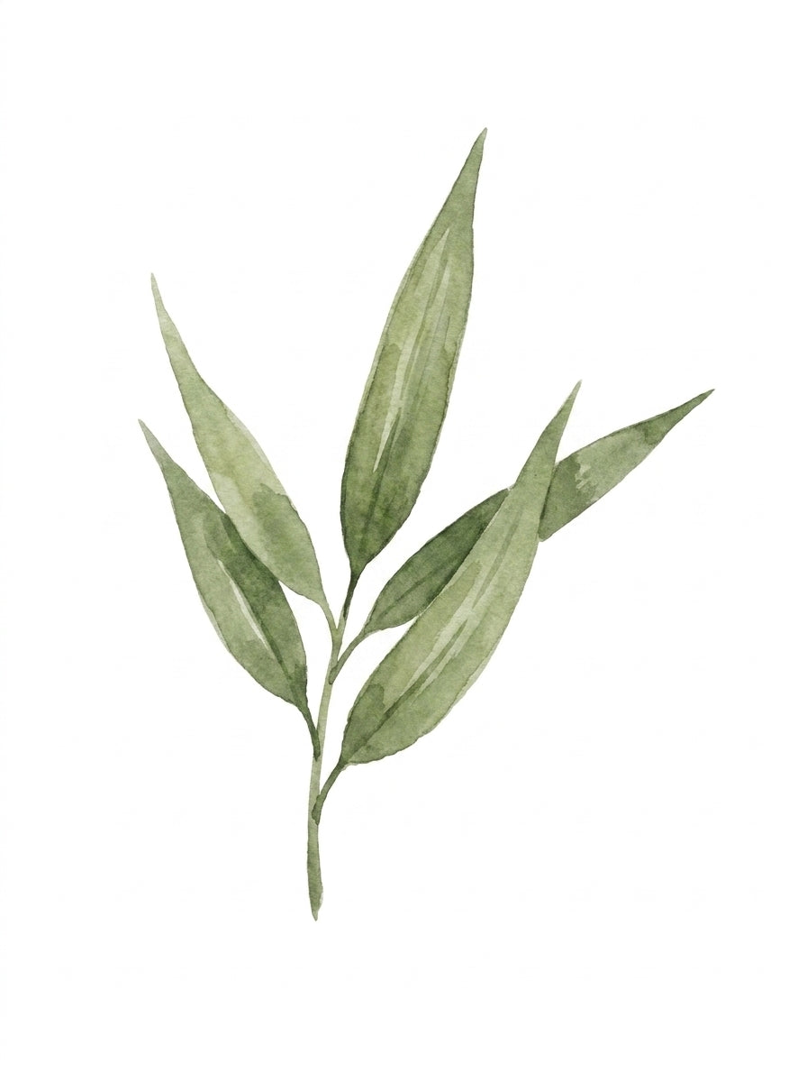 Bamboo Hollow Leaf Cluster Wall Sticker — hand-painted watercolour bamboo leaves, 250mm wide