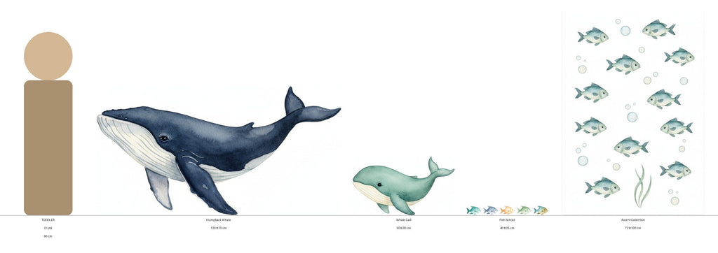 Scale Infographic