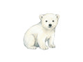 Cub P