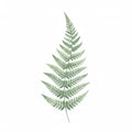 Lost World Tall Fern Painterly