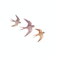 Bird Trio Painterly